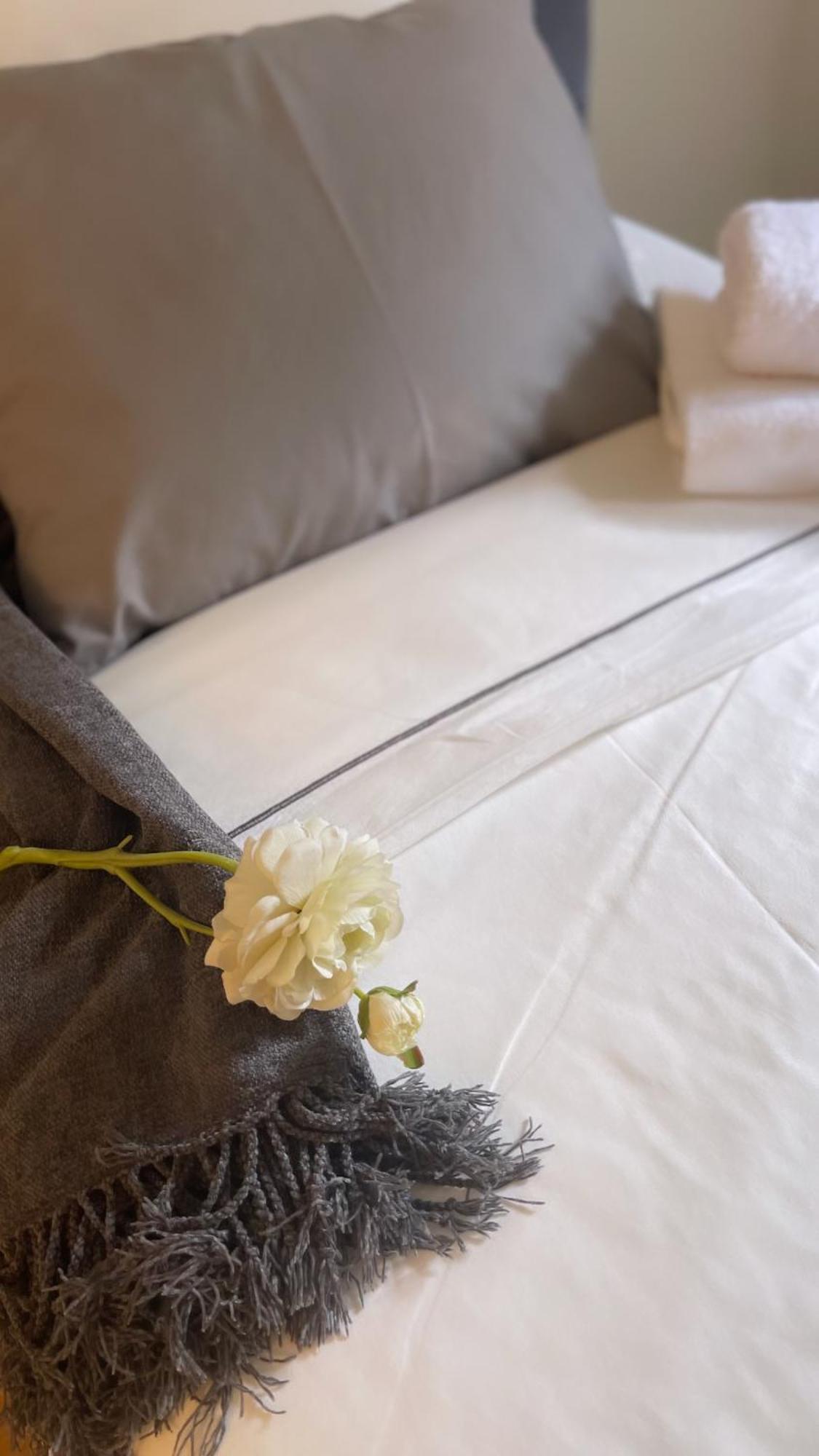 Mama Apartmani スメデレヴォ エクステリア 写真